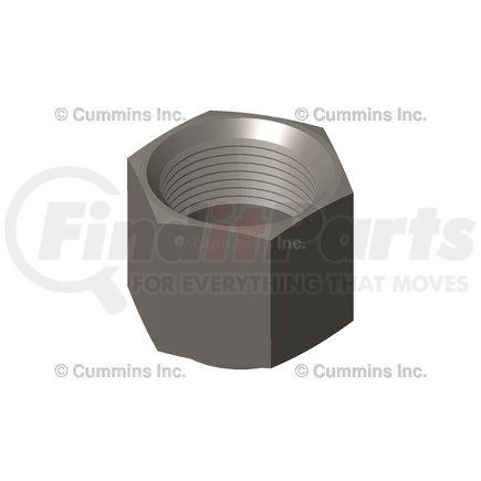 Cummins 3918462 Tube Nut