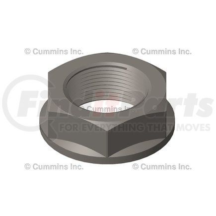 Cummins 4013112 Nut - Regular, Hexagon