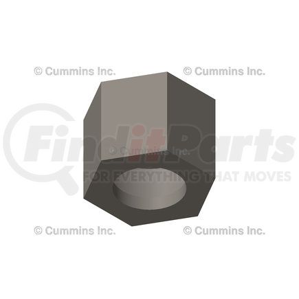 Cummins 4100294 Tube Nut