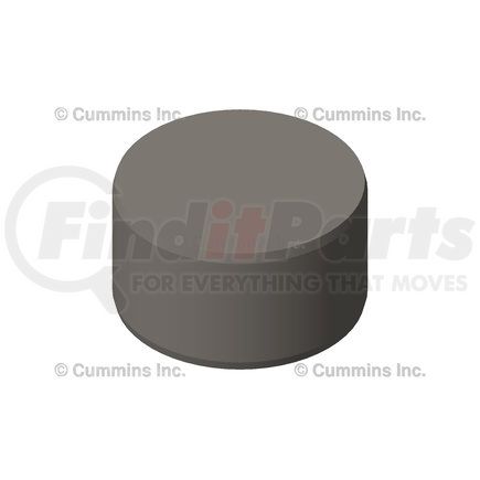 Cummins 4894532 Dowel Pin