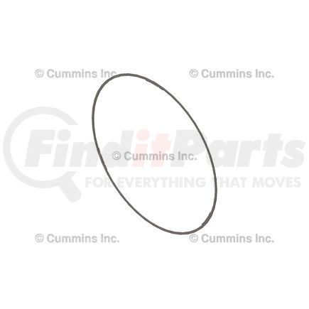 Cummins 4918287 Seal Ring / Washer - Liner