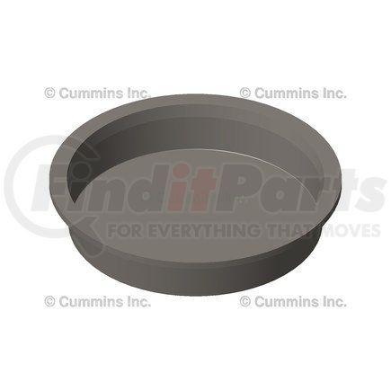 Cummins 4919434 - Protective Plug | FinditParts