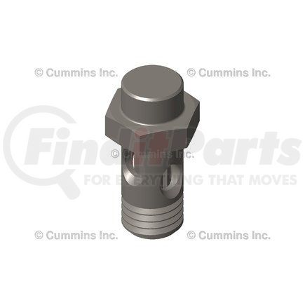 Cummins 5492043 Banjo Bolt and Fitting