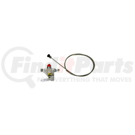 Cummins 259372 Fuel Injection Cold Start Valve