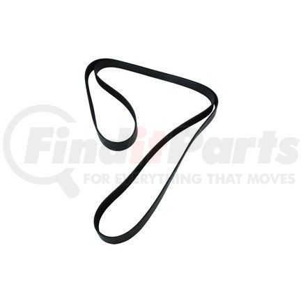 Newstar S-25559 Serpentine Belt