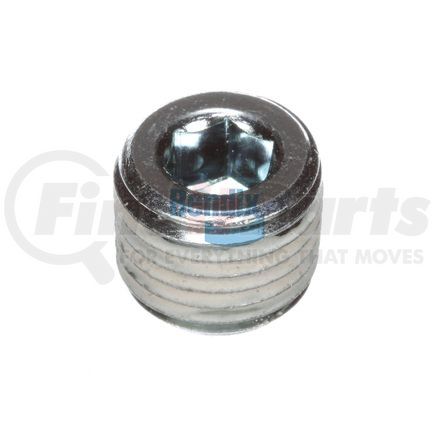 Bendix 230576 Pipe Plug