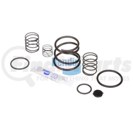 Bendix 289500N Spares Kit