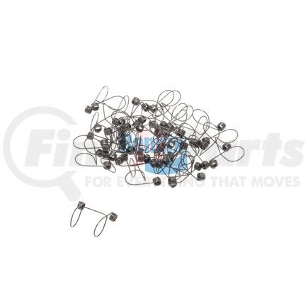 Bendix 808058N Retainer