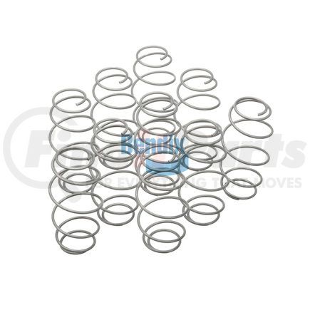 Bendix 800919 Spring