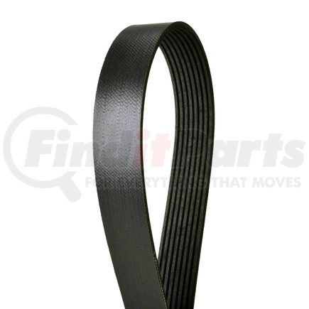 CONTINENTAL 4080680 - multi-v belt | automotive multi-v belt