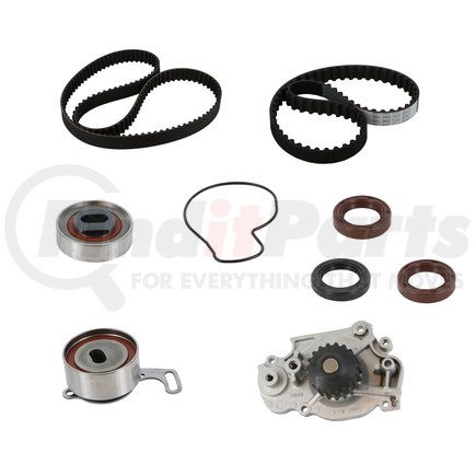 Continental AG PP216-186LK1 Continental Timing Belt Kit With Water Pump