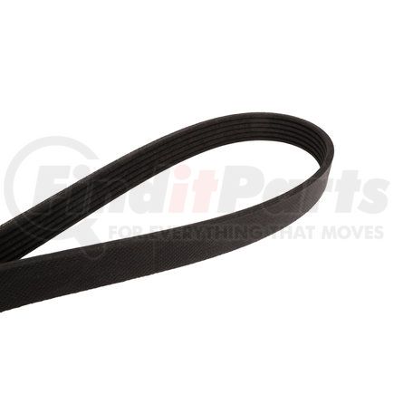 CONTINENTAL 4060490 - multi-v belt | automotive multi-v belt