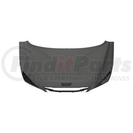 Freightliner A17-20473-006 HOOD-ELDCHOOD-ELDC