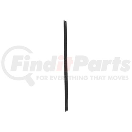 Freightliner A18-44466-000 Cab Door Seal - Primary, LH/RH, 166 in. Length, Freightliner Century