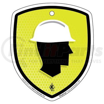 JJ KELLER 43285 EyeCue Tags - PPE Head Protection Reminder - Tag, 3" x 4" (10-Pack)