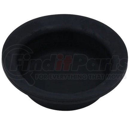 Bendix 801379 Diaphragm