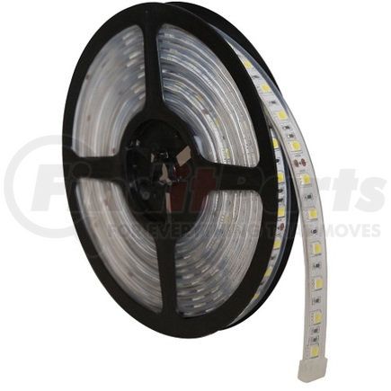 ECCO EW0118 Ew0100 Basic Series LED Strip Light Kit - 192 Inch, High-Bond Tape Mount