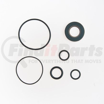 Edelmann 8554 PUMP SEAL KIT