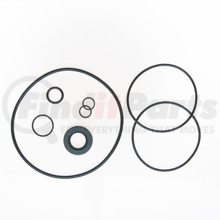 Edelmann 8755 PUMP SEAL KIT