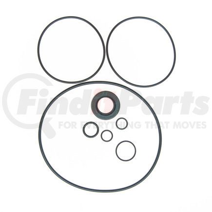 Edelmann 8754 PUMP SEAL KIT