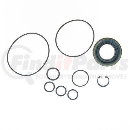 Edelmann 8760 PUMP SEAL KIT