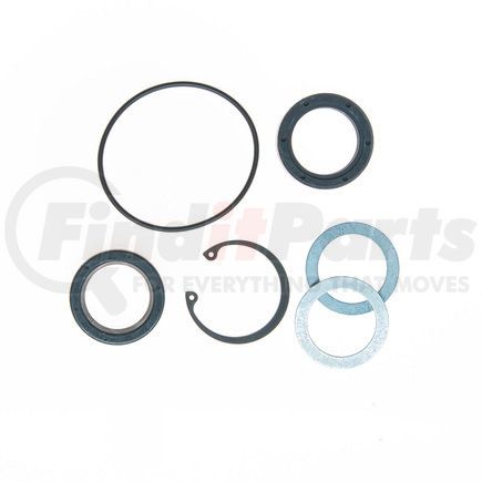 Edelmann 8766 STG. GEAR COMP PITMAN SHAFT SEAL KIT