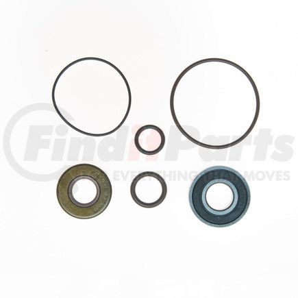 Edelmann 8900 PUMP COMPLETE REBUILD KIT