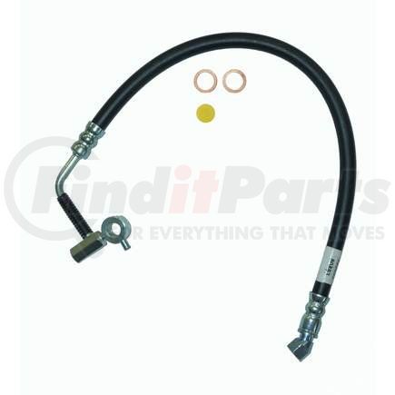 Edelmann 80483 14MM Female Inv. Flare x 16MM Banjo - W/Switch Port