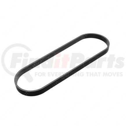 Freightliner 01-32240-563 Accessory Drive Belt - 8 Rib, EPDM Poly, 1563 mm