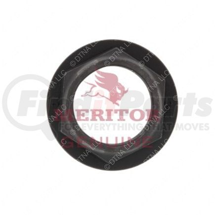 Freightliner TDA-40X1233 Nut