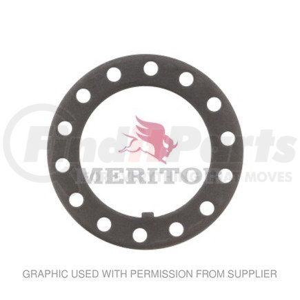 Freightliner TDA-R002418 Drive Axle Spindle Lock Washer - 0.16 in. THK