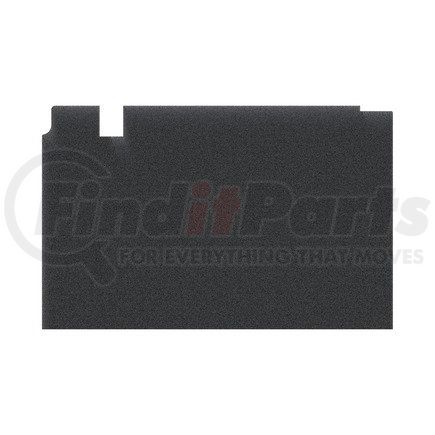 Freightliner A18-69682-004 Floor Cover - Right Hand, Baggage, Lounge