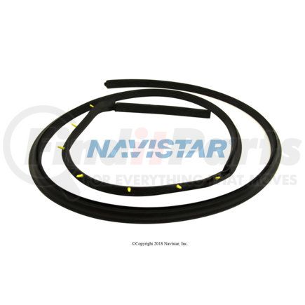 Navistar 3602208C1 INTERNATIONAL SEAL ASSY DOOR RH