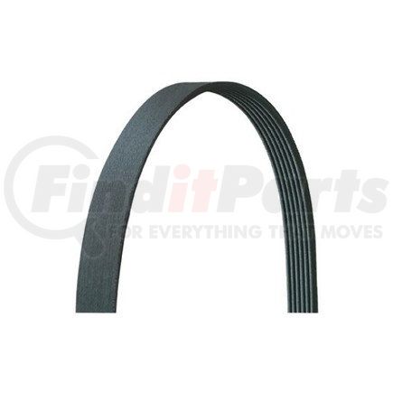 DAYCO 5080990DR - v-ribbed belt, drive rite traditional | v-ribbed belt, drive rite traditional