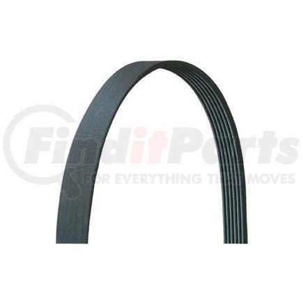 Dayco 5081000DR V-RIBBED, DRIVE RITE TRADITIONAL