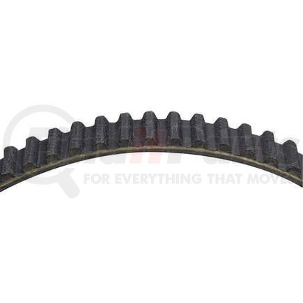 Dayco 95305 TIMING BELT, DAYCO