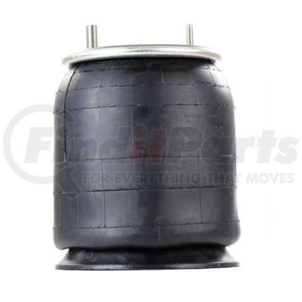 Firestone W013589101 AIRSPRING