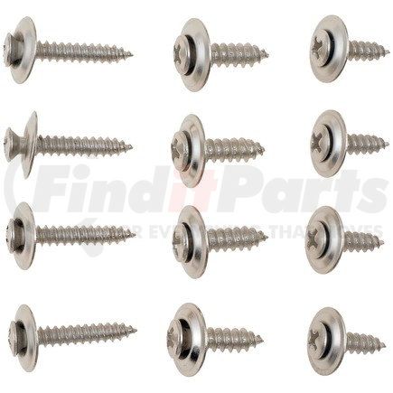 Dorman 02404 Chrome Trim Screw Assortment