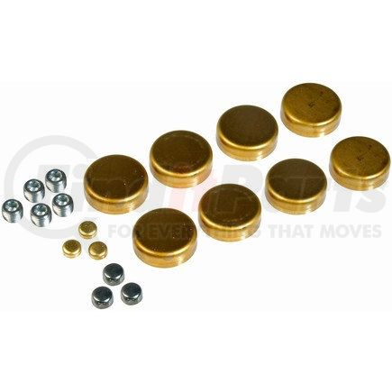 Dorman 567-001 Gm Brass Expansion Plug Kit, 15 Expansion Plugs, 5 Pipe Plugs