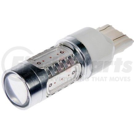 Fog Light