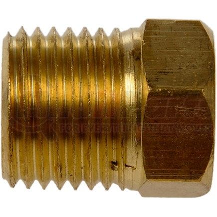 Dorman 785-291 Inverted Flare Fitting-Tube Nut-1/4 In.