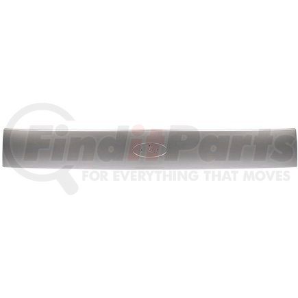 Dorman 924-095 Ford Rear Hatch Panel Silver Birch Clearcoat Metallic Silver