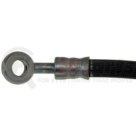 Dorman H381095 Brake Hydraulic Hose