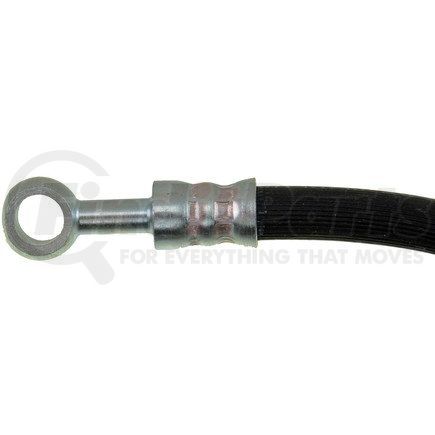 Dorman H38468 Brake Hydraulic Hose