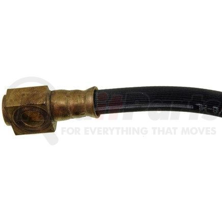 Dorman H38653 Brake Hydraulic Hose