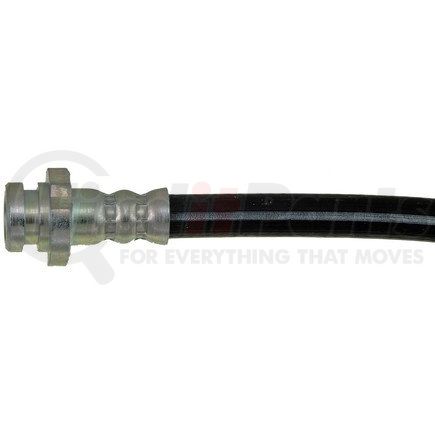 First Stop Dorman H38683 Hydraulic Brake Hose Dorman First Stop Dorman H38683 Hydraulic Brake Hose Dorman