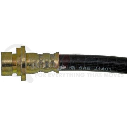 Dorman H620019 Brake Hydraulic Hose