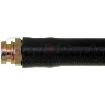 Dorman H620438 Brake Hydraulic Hose