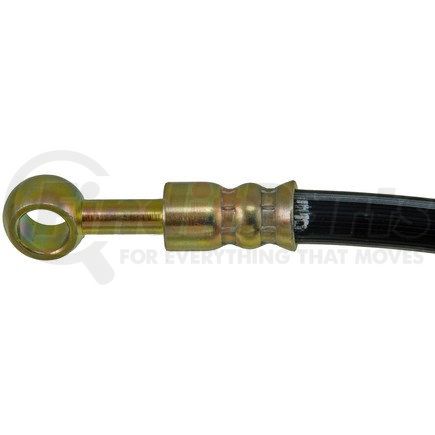 Dorman H620480 Brake Hydraulic Hose