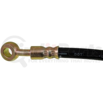 Dorman H620405 Brake Hydraulic Hose